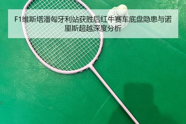 wei-si-ta-pan-xiong-ya-li-zhan-huo-sheng-hou-hong-niu-sai-che-di-pan-yin-huan-yu-nuo-li-si-chao-yue-shen-du-fen-xi-2-462.jpg